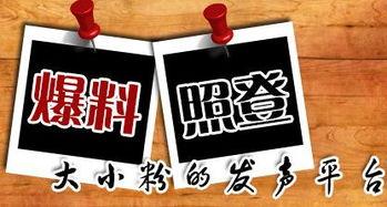 陕西新闻爆料平台,聚焦热点事件，揭示社会真相